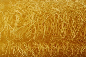Texture of yellow natural luffa fiber, abstract background