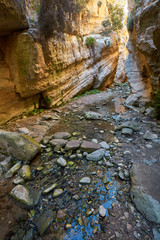 Amazing natural landscape in the Avakas canyon in Cyprus. National sunny wild park with cliffs, mountains, rocks and trees.