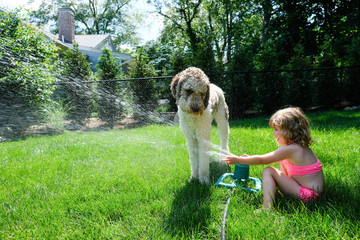Side view of girl spraying water on dog with sprinkler in yard