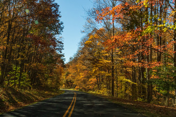 Two lane country road thru the forest in fall colors