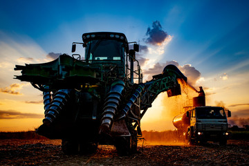 Sugarcane harvester on field against sky at farm during sunset