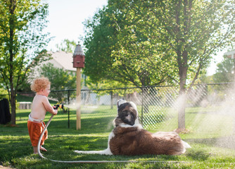Boy spraying water on pet dog with garden hose in backyard
