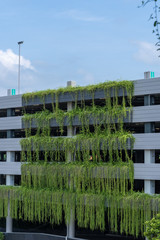 Modern parking garage building covered with plant, exterior decoration.