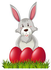 Bunny with easter eggs