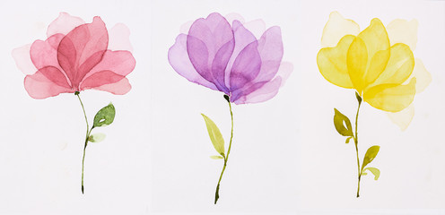 Picture water colour, hand draw, Red flowers, purple, yellow.