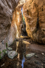 Amazing natural landscape in the Avakas canyon in Cyprus. National sunny wild park with cliffs, mountains, rocks and trees.