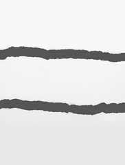 Fototapeta premium Torn paper with copy space area for text or banner. Ripped paper texture background.