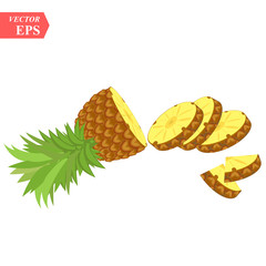 Pineapple realistic fruit with slice. Vector illustration. ananas ripe tropical exotic Juicy fresh food, vitamin healthy dieting. Ananas juice summer vacation organic object, isolated background