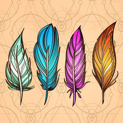 Hand drawn set of feathers on colorful the background of old paper. Boho or ethnic style. Collection of design elements. Vector illustration
