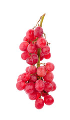 grapes isolated on over white background