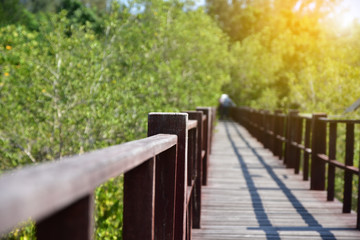Obraz premium Wooden bridge and park background