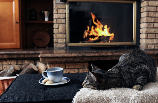 Tabby cat relaxing by food and drink on ottoman against fireplace at home