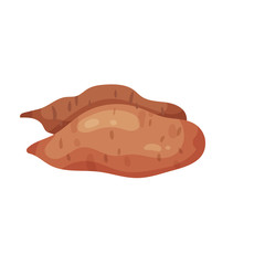 Flat vector design of two ripe sweet potatoes. Organic vegetable. Fresh and tasty vegetable. Natural product