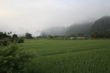 Beautiful Chinese Landscape