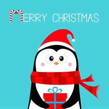 Merry Christmas. Penguin holding gift box present. Red Santa hat and scarf. Happy New Year. Cute cartoon kawaii baby character. Arctic animal. Flat design. Hello winter. Blue background.