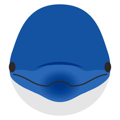 イルカ