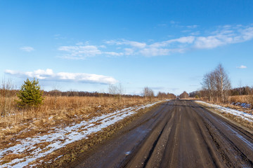 Obraz na płótnie Canvas Dirt road through the fields
