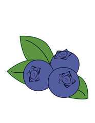 blueberry mint