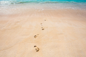 Fototapeta na wymiar Footprints on a sand at the beach on sunny day