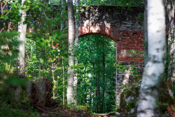 Tulmozersky plant. Republic of Karelia. Russia