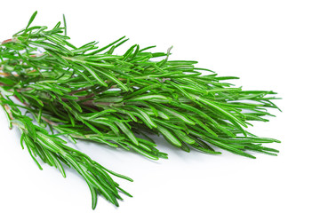 fresh rosemary bunch isolated on white background