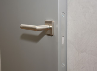 Modern home interior door with metal handle and lock