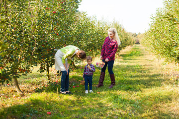 Fototapeta premium Two woman and a girl at the orchard