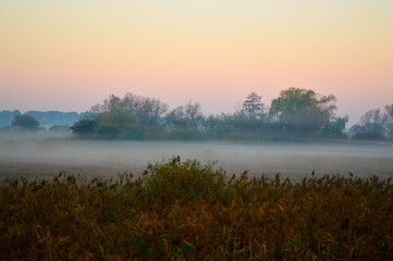 Naklejka na ściany i meble Beautiful field horizon in fog at sunrise