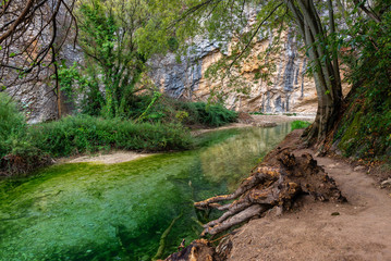 Fototapeta premium Vero river, Alquezar, Huesca province, Spain