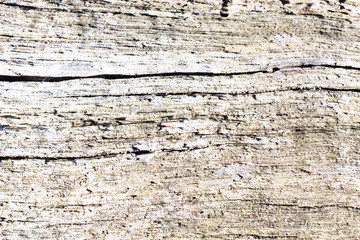  Old natural wooden background Wood background or texture Empty wooden texture background of old grunge wood