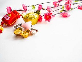 Piggy Chinese new year 2019 background