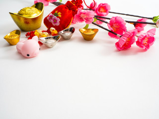 Piggy Chinese new year 2019 background