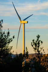 aerogenerador en el monte al atardecer, molino de viento, energía renovable