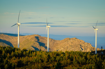 aerogenerador en el monte al atardecer, molino de viento, energía renovable