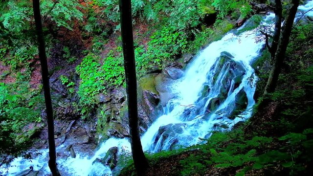 Watch the Shypit (Shepit) waterfall of Pylypets river through the trees of the mountain forest, Volovets region, Ukraine. 
