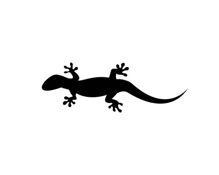 Lizard vector illustration logo template
