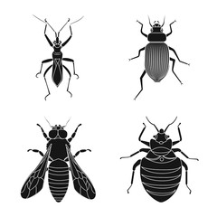 Vector design of insect and fly icon. Collection of insect and element stock symbol for web.