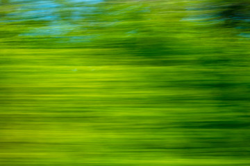 Nature in motion from the train window
