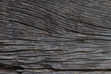 Fototapeta premium Wood texture background