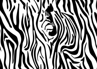 Seamless zebra skin pattern. Wallpaper with black stripes on white background. Zebra stripes hunting camouflage. Vector illustration.
