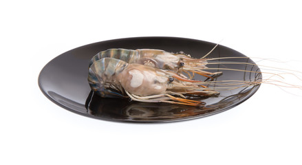 fresh jumbo shrimp on a dish isoated on white background
