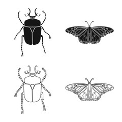Isolated object of insect and fly logo. Set of insect and element stock vector illustration.