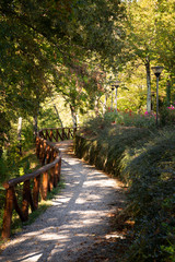 caminho no bosque