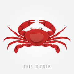Crab vector in trendy paper cut craft style. Vector illustration for advertising, branding greeting card, cover, poster, banner.