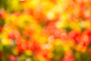 magic bright saturated blurred light for background design, overlay. The background is colorful bokeh. For a festive, seasonal design. Horizontal outdoor photo taken in the Golden autumn.