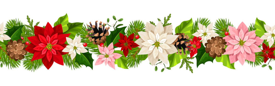 Vector Christmas horizontal seamless garland with colorful poinsettia flowers.