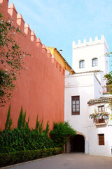Street in historic center in Seville, Spain