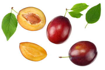 fresh plum fruit with green leaf and cut plum slices isolated on white background. top view