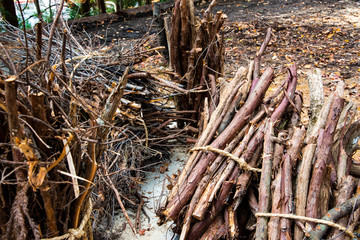 firewood