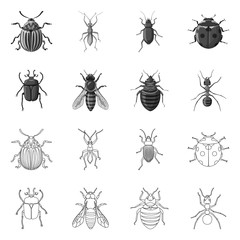 Vector design of insect and fly logo. Set of insect and element stock vector illustration.